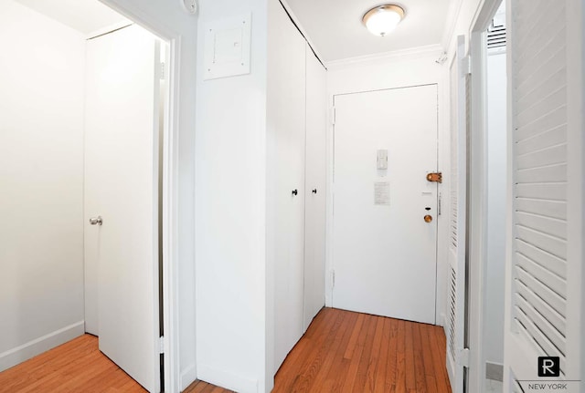 hallway featuring ornamental molding and light wood finished floors