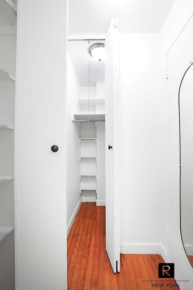 spacious closet with wood finished floors