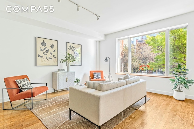 living room with light wood-type flooring, rail lighting, and a wealth of natural light