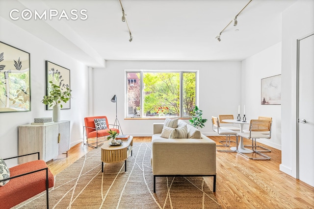 living area with baseboards, rail lighting, and wood finished floors
