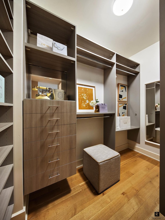 spacious closet featuring wood finished floors