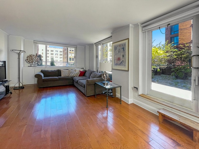 living room featuring baseboards and wood-type flooring