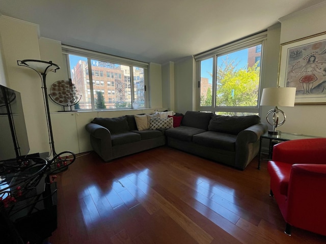 living area featuring ornamental molding and hardwood / wood-style floors