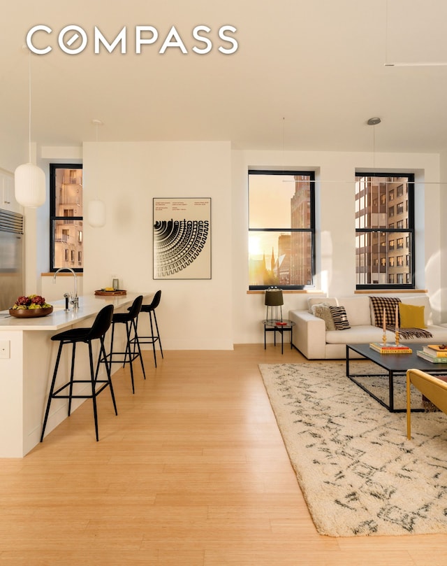 110 Livingston St Unit 6C, New York City, NY 11201 - living area with light wood-style flooring