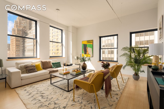 110 Livingston St Unit 6C, New York City, NY 11201 - living area featuring wood finished floors, healthy amount of natural light, a view of city, and baseboards