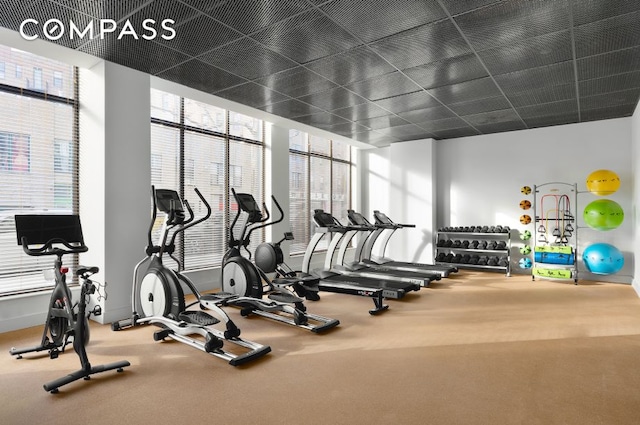 gym featuring baseboards and carpet