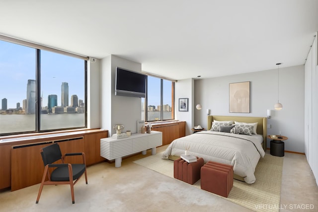 carpeted bedroom with multiple windows