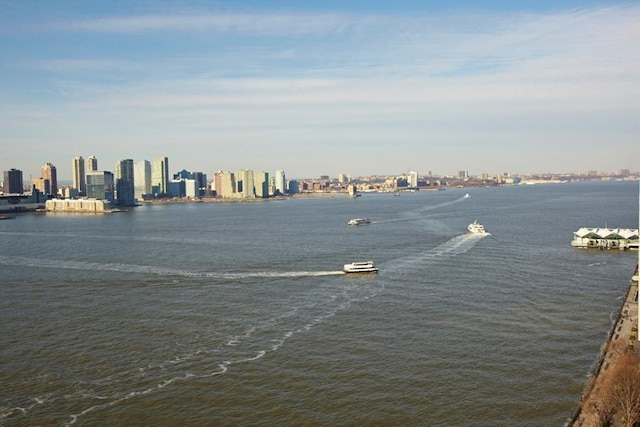 view of water feature with a city view