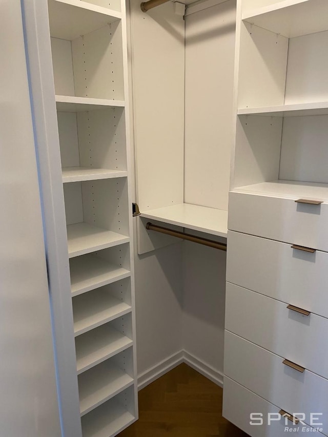 spacious closet featuring dark wood-style flooring