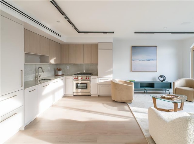 636 Lorimer St Unit 2, New York City, NY 11211 - kitchen featuring high end stove, a sink, backsplash, modern cabinets, and light countertops