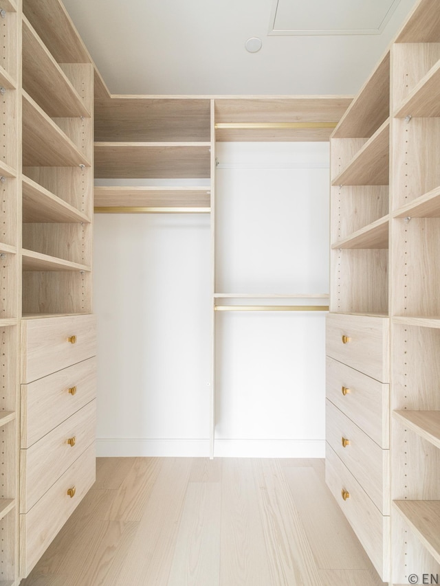 spacious closet with light wood-style floors