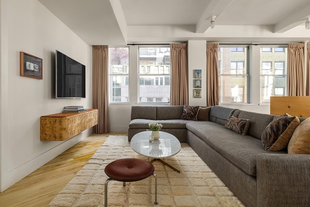 living room featuring baseboards, light wood-type flooring, and beam ceiling