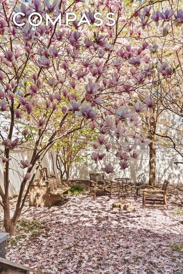 65 Jackson St, New York City, NY 11211 - view of local wilderness