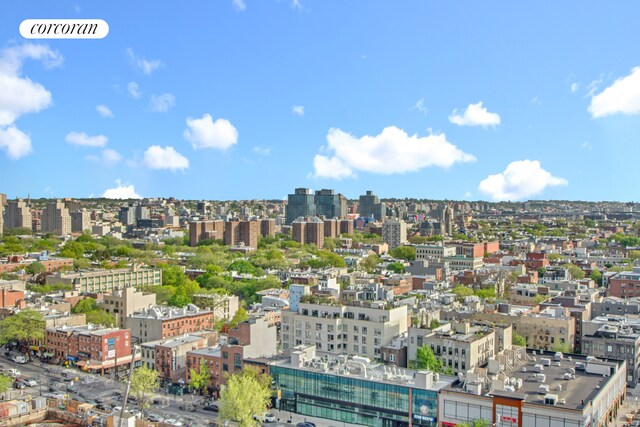 96 Schermerhorn St Phc, Phc, New York City, NY 11201 - city view