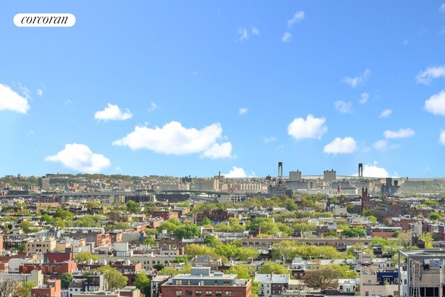 96 Schermerhorn St Phc, Phc, New York City, NY 11201 - view of urban area