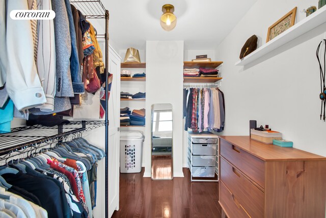 96 Schermerhorn St Phc, Phc, New York City, NY 11201 - walk in closet with dark wood-style flooring