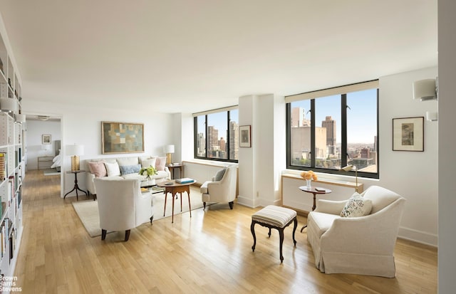 living room featuring light wood-style floors, baseboards, and a view of city