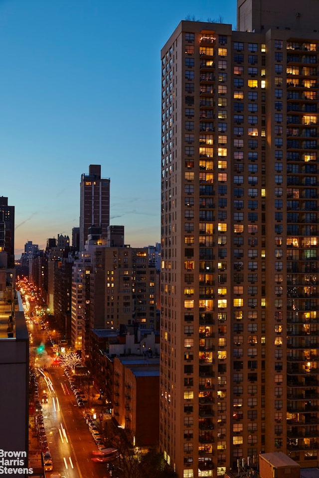 520 E 72nd St Pha, Pha, New York City, NY 10021 - view of city