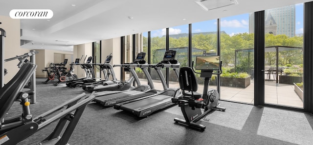 exercise room featuring expansive windows