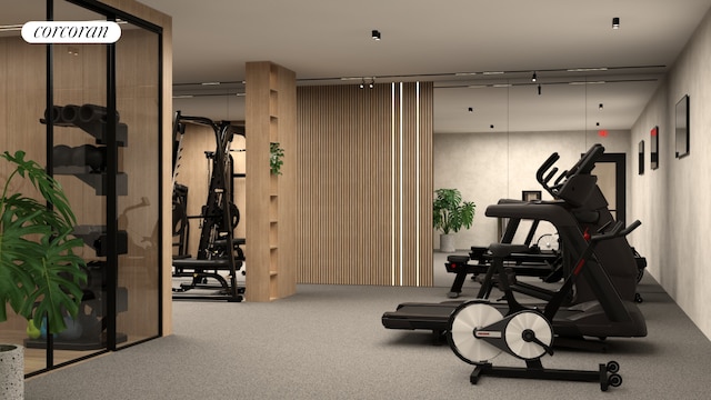 workout room with carpet flooring