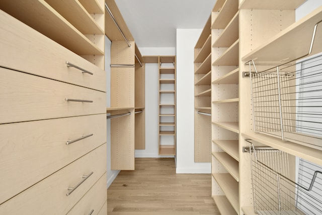 121 W 19th St Unit 9E, New York City, NY 10011 - walk in closet featuring light wood-style flooring