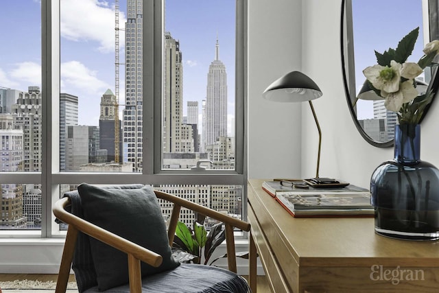 18 W 48th St Phd, Phd, New York City, NY 10036 - interior space with a city view and wood finished floors