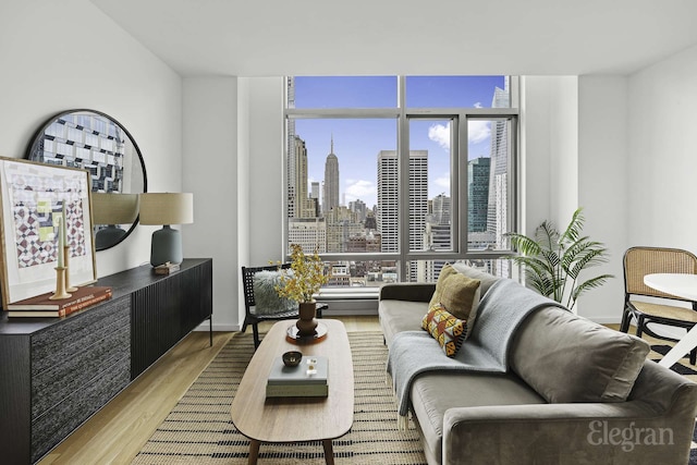 18 W 48th St Phd, Phd, New York City, NY 10036 - living room with a view of city, baseboards, and wood finished floors