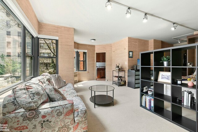 430 E 56th St Unit 4G, New York City, NY 10022 - living area featuring healthy amount of natural light, carpet floors, and track lighting