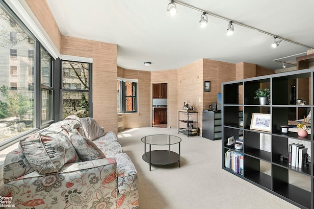 430 E 56th St Unit 4G, New York City, NY 10022 - carpeted living room with healthy amount of natural light and rail lighting