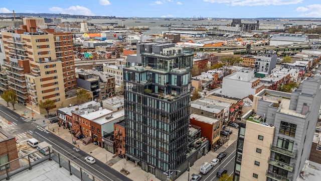 554 4th Ave Unit 3D, New York City, NY 11215 - city view
