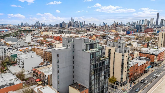 554 4th Ave Unit 3D, New York City, NY 11215 - skyline view