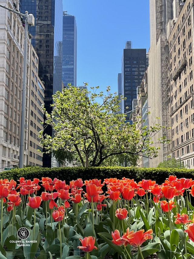 115 E 61st St Ph, Ph, New York City, NY 10065 - view of city