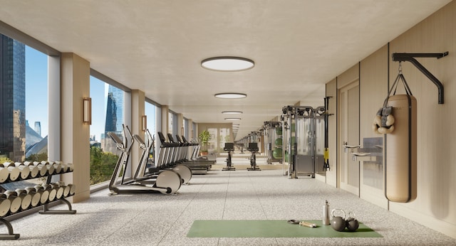 exercise room featuring floor to ceiling windows and a wealth of natural light