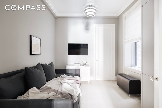 565 Park Ave Unit 2, New York City, NY 10065 - living area with crown molding, carpet flooring, and baseboards