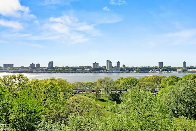 11 Riverside Dr Unit 8Ew, New York City, NY 10023 - water view with a view of skyline