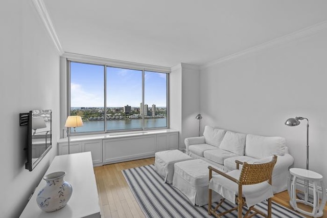 200 Riverside Blvd Unit 30-B, New York City, NY 10069 - living room with crown molding and light wood-style flooring