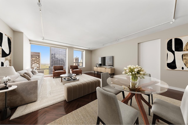 living area featuring track lighting and baseboards