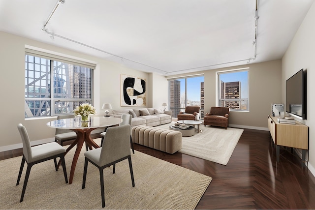 living area featuring baseboards, rail lighting, and a wealth of natural light