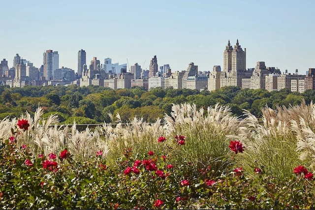 property's view of city