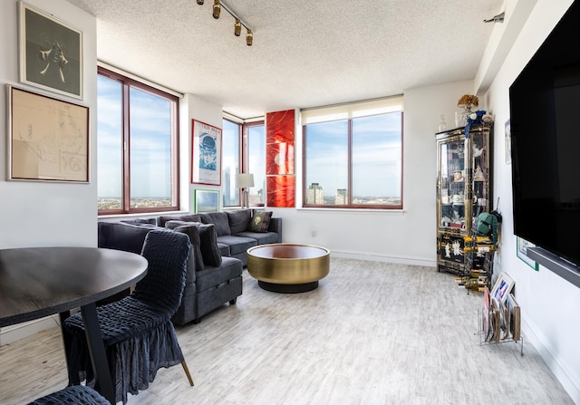 living room with a healthy amount of sunlight, a textured ceiling, and wood finished floors