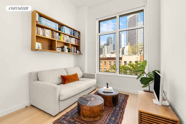 509 Pacific St Unit 4F, New York City, NY 11217 - living area with light wood-style flooring and baseboards