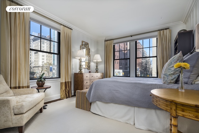 bedroom with crown molding, baseboards, and multiple windows