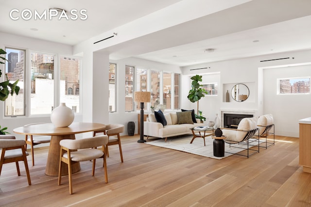120 E 29th St Phb, Phb, New York City, NY 10016 - living area with light wood-type flooring and a glass covered fireplace