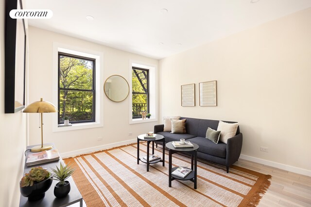 41 Prospect Park SW Unit 2B, New York City, NY 11215 - living room with light wood-style flooring, baseboards, and recessed lighting