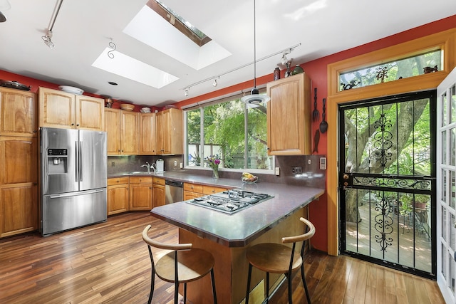 kitchen with stainless steel appliances, track lighting, a skylight, a peninsula, and a breakfast bar area
