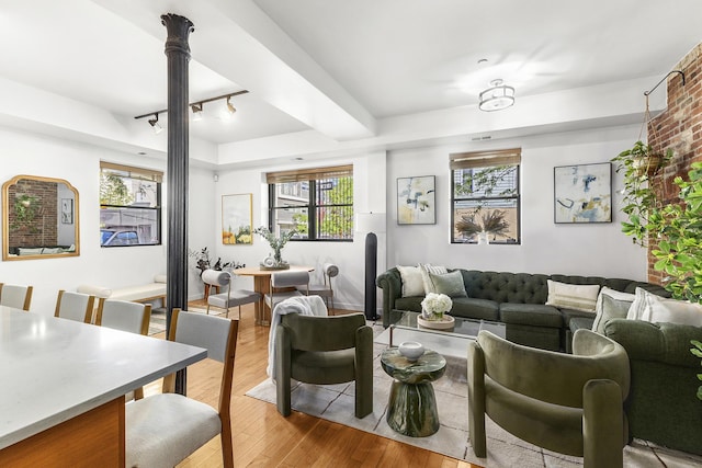 364 Manhattan Ave Unit 1-G, New York City, NY 11211 - living room with track lighting and light wood-style flooring