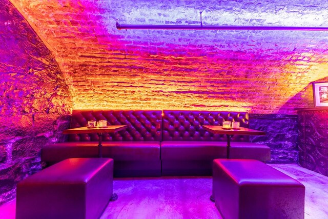 364 Manhattan Ave Unit 1-G, New York City, NY 11211 - cinema room featuring lofted ceiling