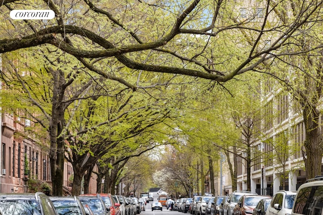 153 W 85th St Unit 4, New York City, NY 10024 - view of community