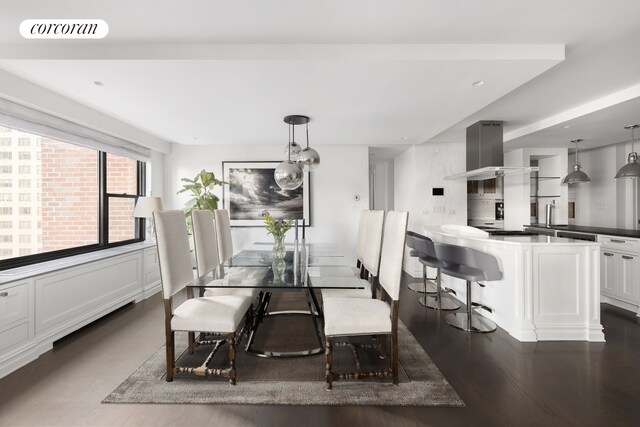dining space featuring dark wood-type flooring