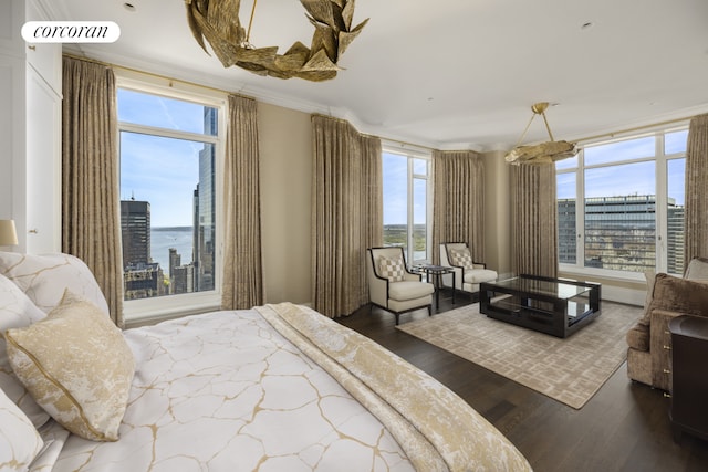 30 Park Pl Unit 68A, New York City, NY 10007 - bedroom featuring wood finished floors, crown molding, and a view of city